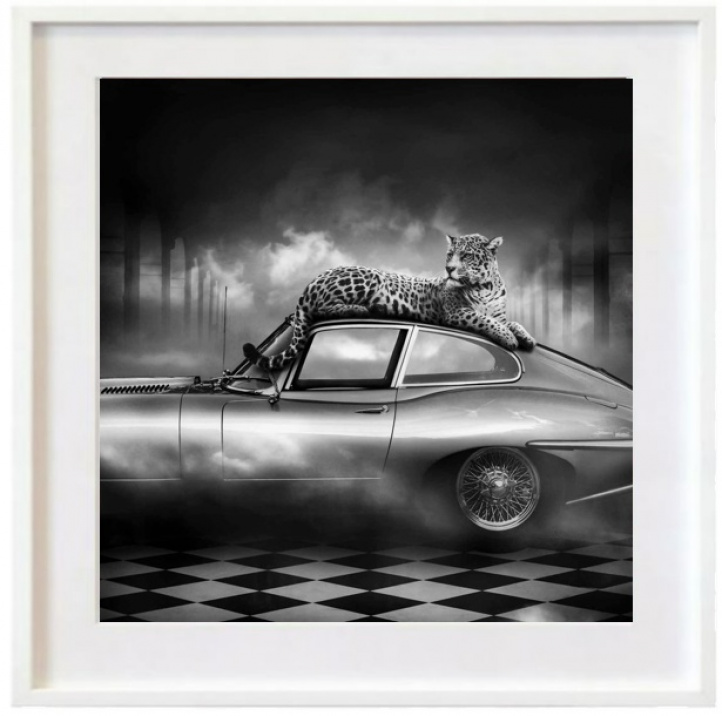 The Jaguar - Elegance i gruppen Konstgalleri / Fotografier / Legendariska foton hos NOA Gallery (200239_3980)
